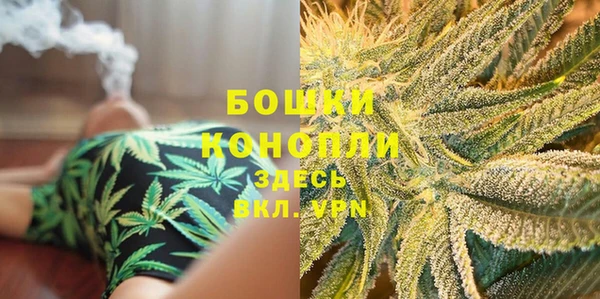 тгк Новозыбков
