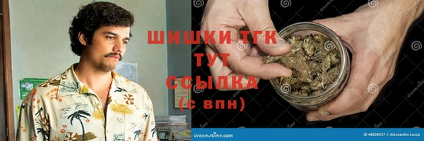 крисы Новодвинск