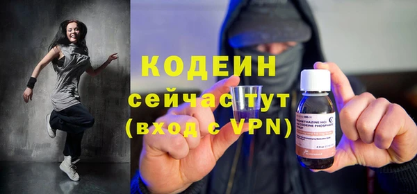 крисы Новодвинск