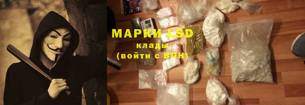 тгк Новозыбков