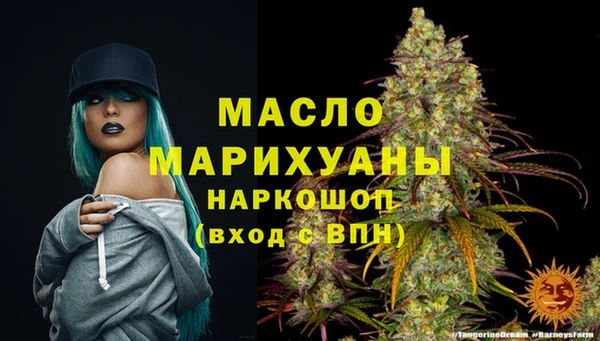крисы Новодвинск