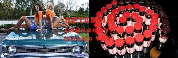 крисы Новодвинск