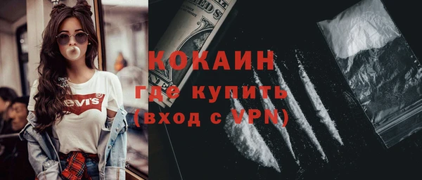 тгк Новозыбков